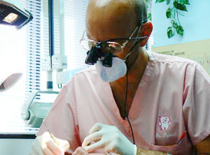 Orlando Dentist with Tools